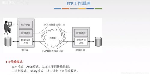 計(jì)算機(jī)系統(tǒng)服務(wù)中的6.3文件傳輸協(xié)議(FTP)